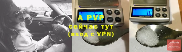 сатива Михайловск