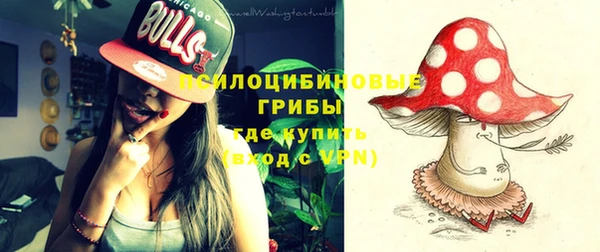 гашик Вяземский