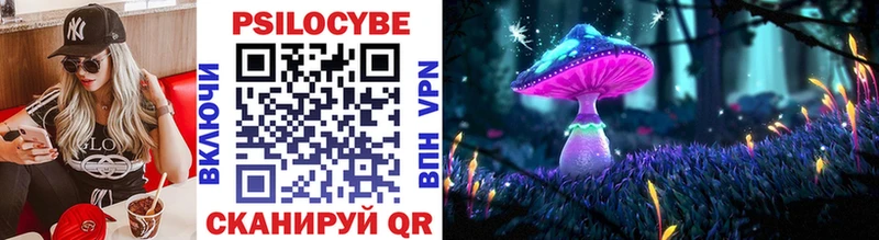 Купить закладки  Козельск  Псилоцибиновые грибы Cubensis 
